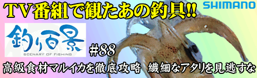 釣り百景#88 高級食材マルイカを徹底攻略　繊細なアタリを見逃すな