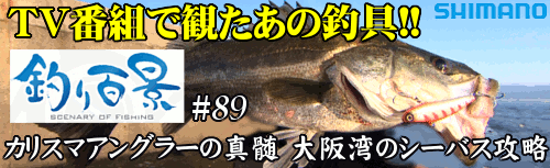 釣り百景#89 カリスマアングラーの真髄 大阪湾のシーバス攻略