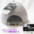 画像5: 販促品 　NTスイベル 　NTキャップ 　R200 　グレー 　フリー 　非売品 　H287 　●×1 (5)